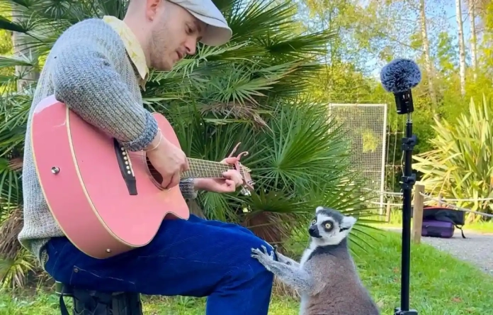 Plumes- le chanteur qui murmure aux oreilles des animaux en tournée dans les parcs animaliers - Plumes Plumes- le chanteur qui murmure aux oreilles des animaux en tournée dans les parcs animaliers - Plumes