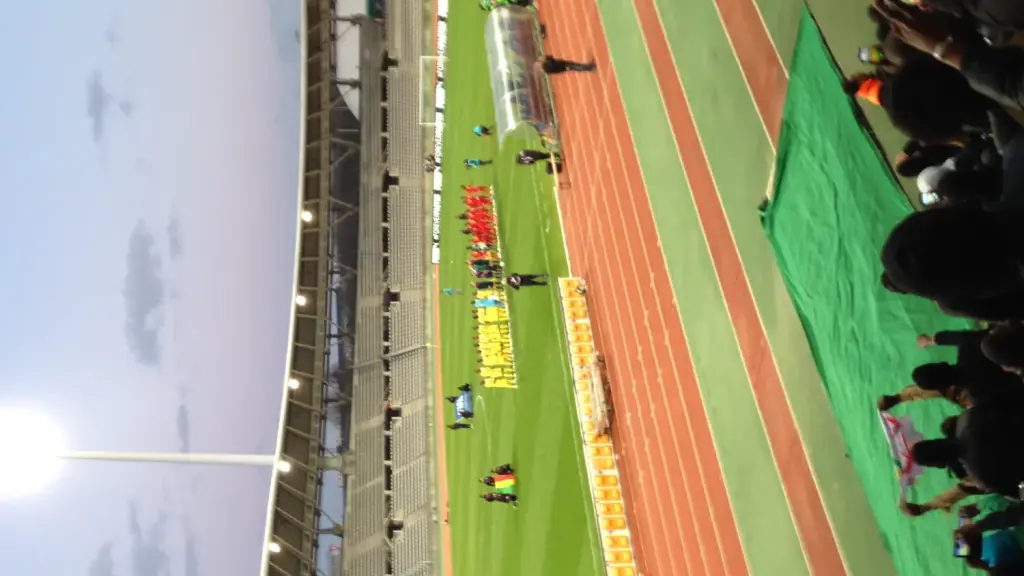 Mali team during an international match
