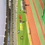 Mali team during an international match