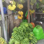 Banana stall with scales on the tables of a market