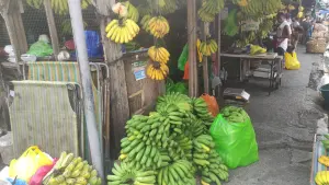 Banana stall with scales on the tables of a market
