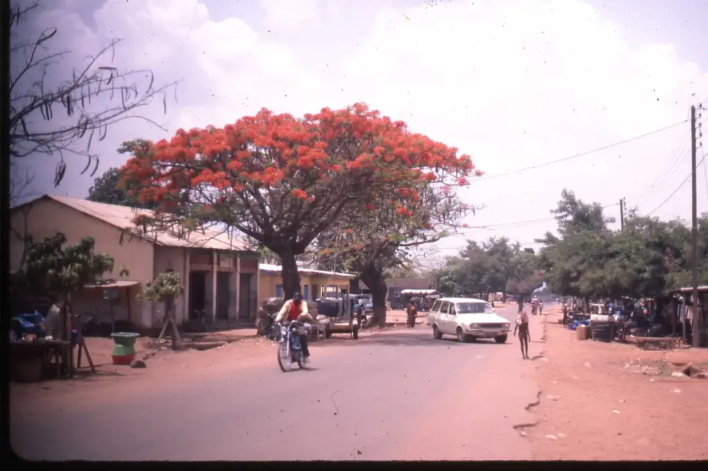 Boundiali Street in Côte d’Ivoire