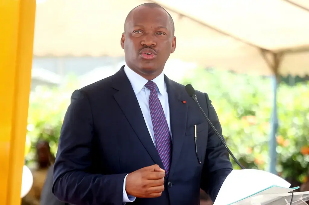 Mamadou Touré, Ivorian Minister in charge of Professional Integration