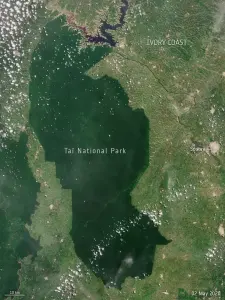 Satellite view of Taï National Park in Côte d’Ivoire