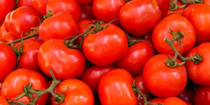 Les tomates