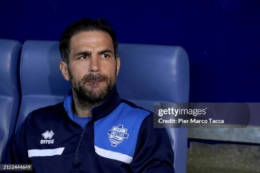 Le technicien espagnol, Cesc Fabregas