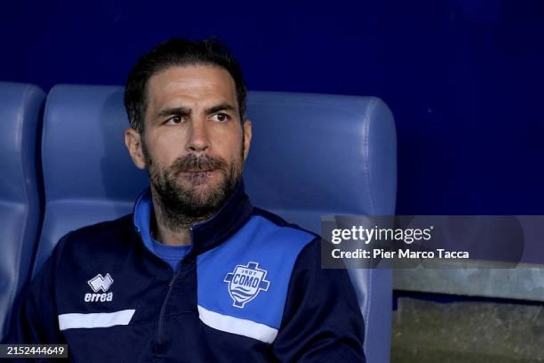 Le technicien espagnol, Cesc Fabregas