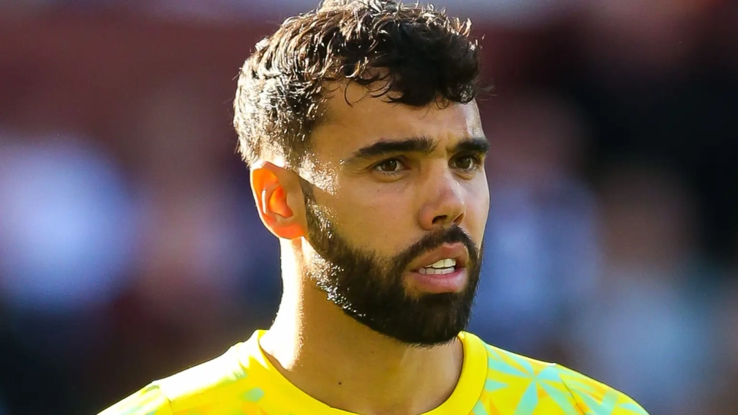Le gardien de but d'Arsenal, David Raya