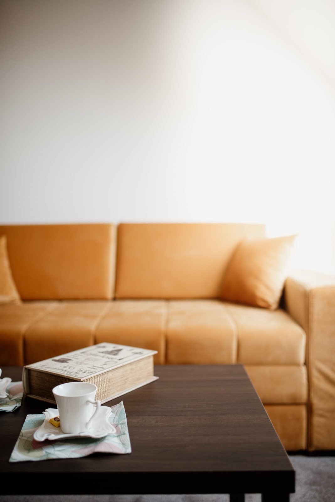 Salon chaleureux avec canapé, livre et tasse, illustration du burrowcore