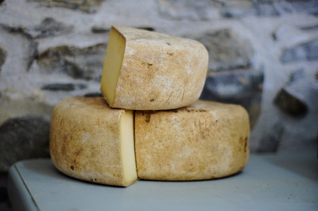 Meules de fromage coupées pour illustrer la conservation au réfrigérateur