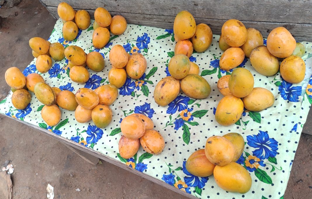 Mangues en vente sur un marché à Abidjan, Côte d’Ivoire