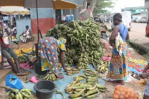 Commerçantes au marché du vivrier d'Aboisso, en Côte d’Ivoire
