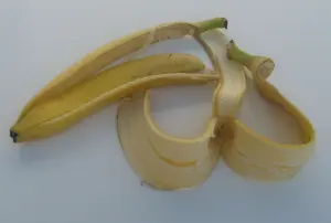 Peau de banane, illustration de la tendance « Banana Botox »