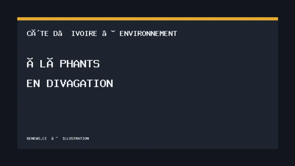 Éléphants en divagation en Côte d’Ivoire, illustration BeNews