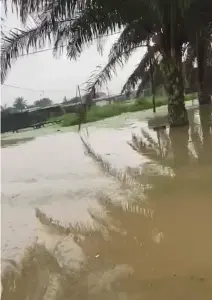 Inondation à Abidjan, illustration des enjeux de drainage et d’assainissement