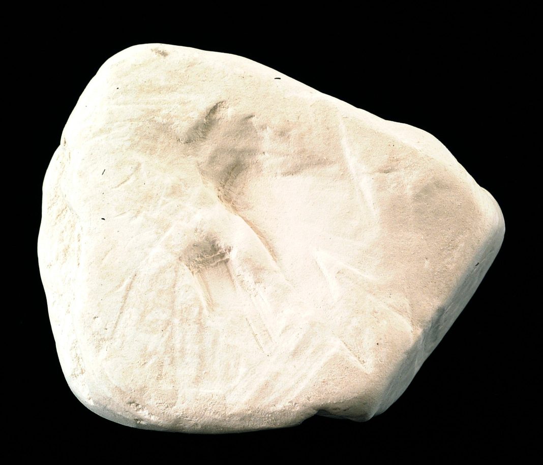 Échantillon de kaolinite, le minéral constituant le kaolin