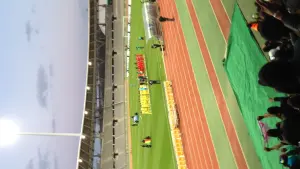 Sélection du Mali lors d’un match international