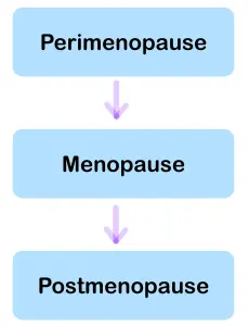Illustration de la transition vers la ménopause