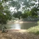 Point de passage sur le Cavally à la frontière entre la Côte d’Ivoire et le Liberia