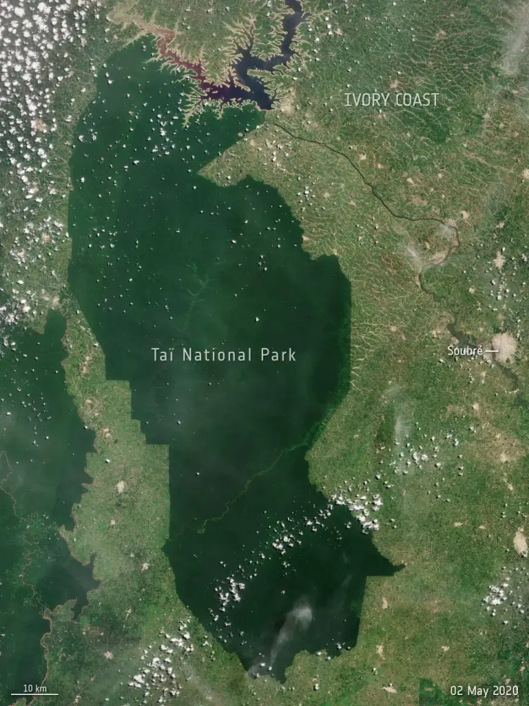 Vue satellite du parc national de Taï en Côte d’Ivoire