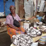 Vendeuse de poisson sur un marché en Côte d’Ivoire